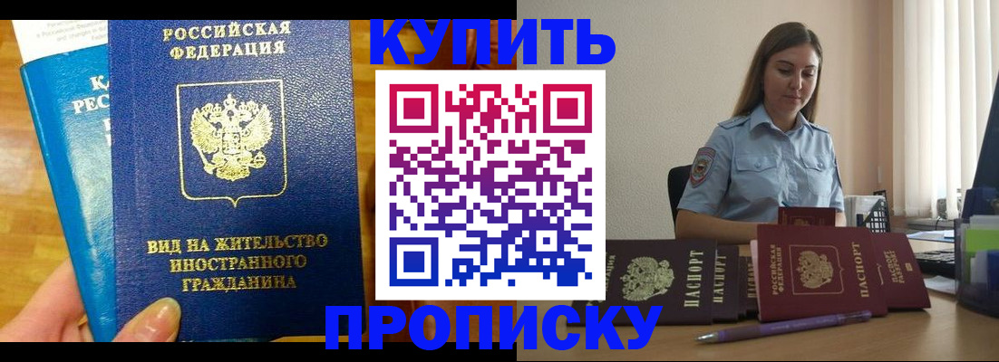прописка гарантия в Светлогорске